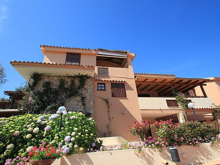 Bougainvillae Liscia di Vacca
